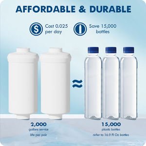 Repuesto de Filtro de Agua Portátil con Fluoruro S001A-2, Elementos <span class=keywords><strong>Berkey</strong></span> PF-2 para la Serie Royal Imperial Crown (Paquete de 2) - Uso en Exteriores - Product Image 3