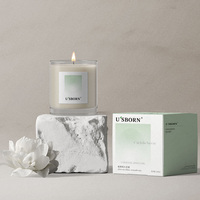 Private Label Soja wachs 100ml Duft kerze Luxus Farbbox Home Duft Weihnachts geschenk Großhandel