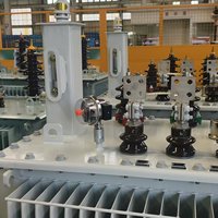 Transformador de Distribución de Media Tensión Tipo Aceite S22, 20kV 400V 800kVA Trifásico para Distribución de Energía Eléctrica en Europa