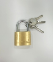 Rarlux Cadenas en Laiton Solide Antirouille Antivol de Sécurité, Meilleure Vente Européenne, Très Demandé