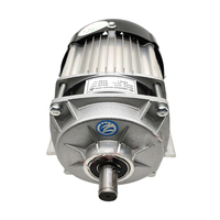 350W 500W 750W 1000W 48V 60V Mejor precio Minivan Express Delivery Truck Mid Drive Motor
