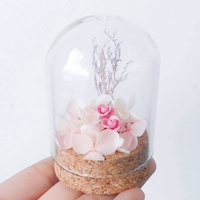 Mini pot en verre classique avec bouchon en liège nouvel accessoire de maison Art déco pour accessoire de maison de bureau et de restaurant