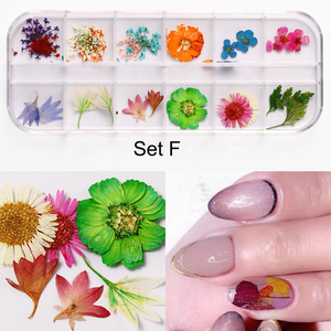 Noël nouvelle arrivée fleur sèche pour la décoration des ongles - Product Image 4