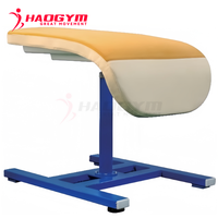 Barres parallèles de gymnastique HAOGYM, barres parallèles scolaires, haute qualité