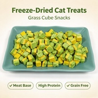 Friandises lyophilisées en gros pour chats et cubes de herbe, à base de viande naturelle, riches en protéines, sans céréales, pour chiots