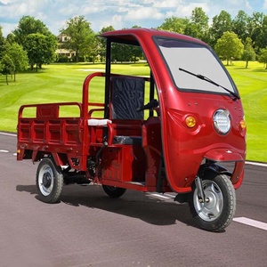 Auto Three Wheeler Tricycle 1500W Tricycle Screen Canopy Cabin Pedicab Manufacturer Price - Product Image 6