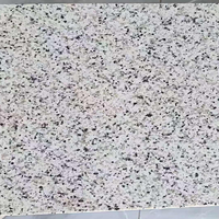 Dalles et plaques de granit Bianco blanc saoudien moderne de qualité supérieure, polies, pour comptoirs, revêtements de sol et bardages extérieurs avec garantie de 5 ans