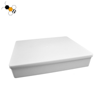 Nourrisseurs d'abeilles en plastique carrés de 6 L à vente chaude pour ruches