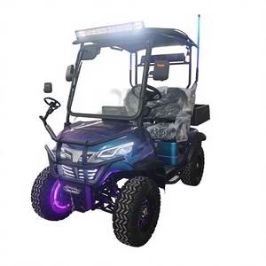 Voiturette de golf électrique tout-terrain surélevée 2 places couleur caméléon - Product Image 1