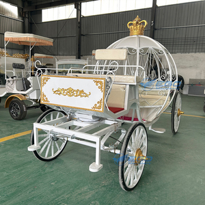 รถม้าชมวิวทรงฟักทองแบบอังกฤษสุดหรู 6 ที่นั่ง ยี่ห้อ Crown-Wedding พร้อมยางตัน ขายพร้อมรับมัดจำ - Product Image 1
