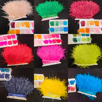 Vente Flash : Franges en Plumes d'Autruche 10-15cm - Vente en Gros pour Couture DIY, Robes Flapper, Costumes, Pyjamas & Décoration Intérieure