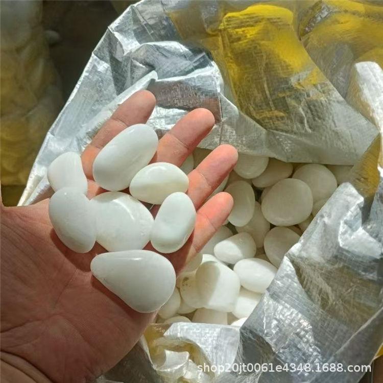 1 pounds of white hand-selected3-5cm