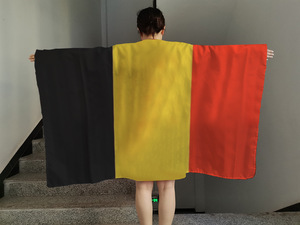 Cape de supporter de <span class=keywords><strong>football</strong></span> 2026 personnalisée avec drapeau national, tenue portable avec manches pour match de <span class=keywords><strong>football</strong></span>, accessoire de cheering - Product Image 2