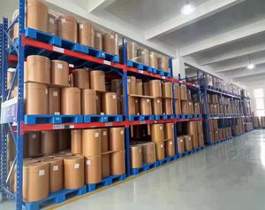 Tự nhiên bí ngô bột cung cấp số lượng lớn bí ngô bột trái cây chất lượng cao cucurbita pepo bột cucurbita pepo chiết xuất - Product Image 6