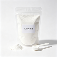 Poudre d'acides aminés non aromatisée pour les boissons sportives, les smoothies, les compléments post-entraînement, supplément de fitness OEM, poudre de L-Lysine