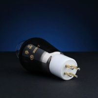 Tube à vide Treasure 300B-Z à chauffage direct, triode de puissance, paire assortie avec précision en usine pour amplificateur à tube 300B à terminaison simple pour audiophiles