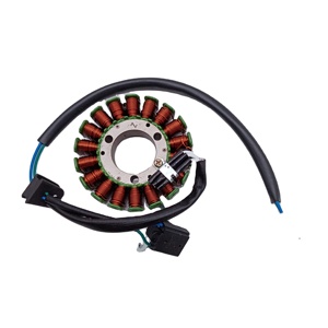 Bobine de stator de magnéto de <span class=keywords><strong>moto</strong></span> DEJIA CG125D-12 12 pôles 200W 12V - Product Image 6