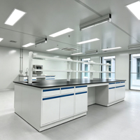 Tables et comptoirs de laboratoire en acier résistant aux acides et aux alcalis, design modulaire moderne pour usage commercial dans les hôpitaux, les écoles et les laboratoires de recherche