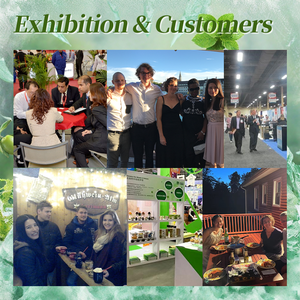 Fábrica Preço <span class=keywords><strong>Kiwi</strong></span> Pó Instantâneo Puro Natural Bulk 30:1 <span class=keywords><strong>Kiwi</strong></span> Fruta Extrato Bebida Em Pó - Product Image 5