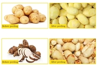 Volledig automatische schroeftype aardappelwas- en schilmachine voor fruit- en groenteverwerking