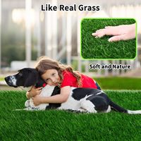 Gazon artificiel pour animaux de compagnie, épaisseur 25 mm, fil antimicrobien, séchage rapide, pour jardin et balcon, herbe hygiénique