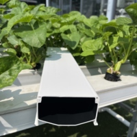 Canal hydroponique NFT en PVC résistant aux UV pour la culture hors-sol de légumes-feuilles pour les fermes commerciales, les serres