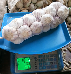Ajo Fresco Blanco Normal Jinxiang de Nueva Cosecha de China, Bolsas de Malla de 10 kg de Rich Farmer - Product Image 2