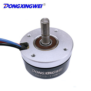 มอเตอร์ไร้แปรงถ่านแบบโรเตอร์ภายนอก Dongxingwei รุ่น 6215 36V 1.7Nm แรงบิดสูง สำหรับเครื่องตัดหญ้า - Product Image 2