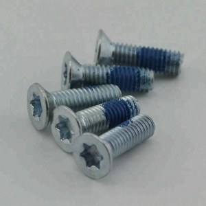 Vis à tête fraisée plate en acier inoxydable M2 M3 M4 M5 M6 M8 M10 M12 <span class=keywords><strong>T6</strong></span> T9 <span class=keywords><strong>Torx</strong></span> - Product Image 3