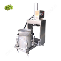 Fruit and Vegetable Hydraulic Press Hydraulic Juicer Coconut Manual Olive Oil Press