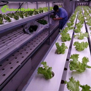 Plástico <span class=keywords><strong>nft</strong></span> barranco sistema de cultivo hidropónico vertical <span class=keywords><strong>nft</strong></span> - Product Image 4