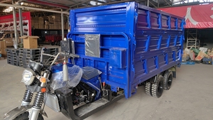 Tricycle Moto Benne 300cc 350cc Très Vendu, Tricycle Moteur Cargo à 9 Roues pour Fret - Product Image 2