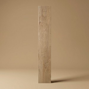 Baldosa Trentino 20 x 120 cm, 9 mm de grosor, texturizada mate, bordes rectificados - Product Image 1