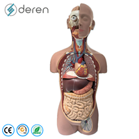 Model Anatomi Torso Manusia 85cm 27-Bagian Ukuran Asli Unisex Alat Pengajaran Medis Sains Biologi Perlengkapan Edukasi Plastik