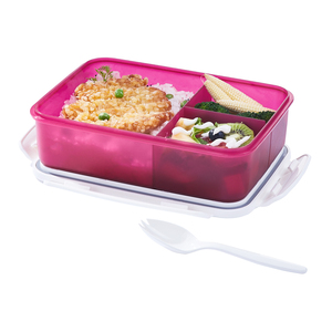 Boîte à repas pour le Camping, 5 compartiments, pour sandwichs, personnalisable avec 3 compartiments, bon marché, avec Logo, sur mesure - Product Image 4
