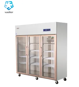 Equipamento de refrigeração comercial da cozinha, tamanho grande controle de temperatura único upright três portas de vidro da geladeira