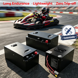 Baterai Lithium 4000+ Siklus 48V 60V 72V 30Ah 50Ah 60Ah 100Ah untuk Birel ART N35-E Go Kart Balap dan Buggy Listrik - Product Image 2