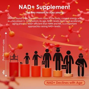 Gomitas de NAD+ de Marca Propia, Rejuvenecimiento Celular, Uñas Fuertes, Piel Radiante, Veganas, Refuerzo de la Inmunidad, Potenciador de la Resistencia, Adultos 60 - Product Image 5