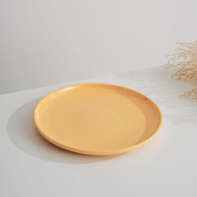 10inch round plate YBH04072P10