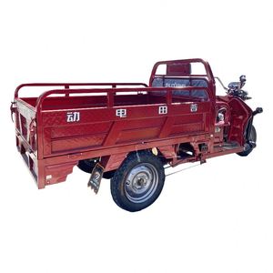 Easy to <b>Operate</b> 30 Degrees Climbing for Seniors Motor Trike for - Product Image 2