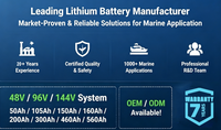 Batería Marina LiFePO4 de 100Ah 12V 200Ah, Batería de Litio de Ciclo Profundo para Barcos de Pesca, Motor de Arrastre, Barco Eléctrico, Fabricante OEM