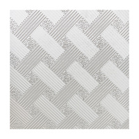 Plaques de plafond en plâtre recouvertes de PVC blanc et coloré avec grille métallique pour hôtel / cuisine / salle de lavage / école, etc.
