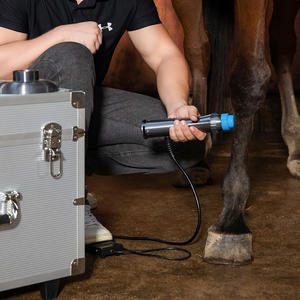 Alat terapi Shockwave medis, mesin ESWT untuk rehabilitasi cepat dokter hewan - Product Image 6