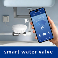 Vanne à boisseau sphérique électrique DN20 pour le contrôle du débit d'eau, motorisée, avec surveillance de la température et du débit, contrôle à distance via l'application Tuya WiFi