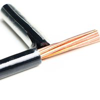 THHN THW 10AWG Cable y cable estándar americano Cable y cable de nailon