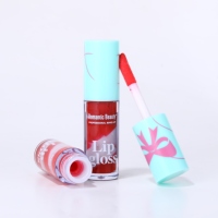 Lot de rouges à lèvres bicolores hydratants et longue tenue, gloss spirale pour maquillage des lèvres en gros
