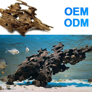 Bois flotté naturel perforé pour décor d'aquarium, idéal pour crevettes, bettas, crabes ermites et poissons guppies - Product Image 4