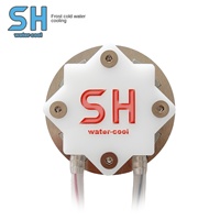 SH gel froid bricolage forte aspiration magnétique semi-conducteur radiateur tête de refroidissement par eau tablette iPad téléphone portable poulet paix élite