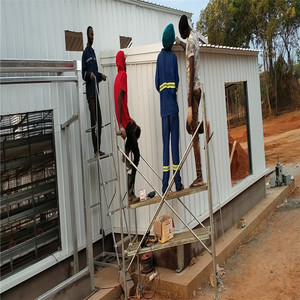 Pollaio Prefabbricato in Acciaio a Basso Costo con Controllo Ambientale e Alta Resistenza al Vento - Product Image 3