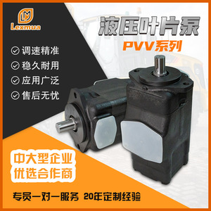 Bomba de paletas Rexroth PVV1/2/4/5 de 1 etapa con montaje de brida, bomba hidráulica industrial para máquinas de moldeo por inyección - Product Image 5